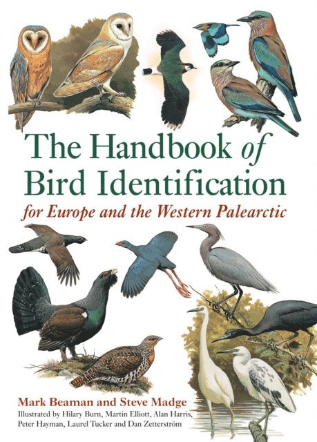 Mark Beaman, Steve Madge - Handbook of Bird Identification, E-bok