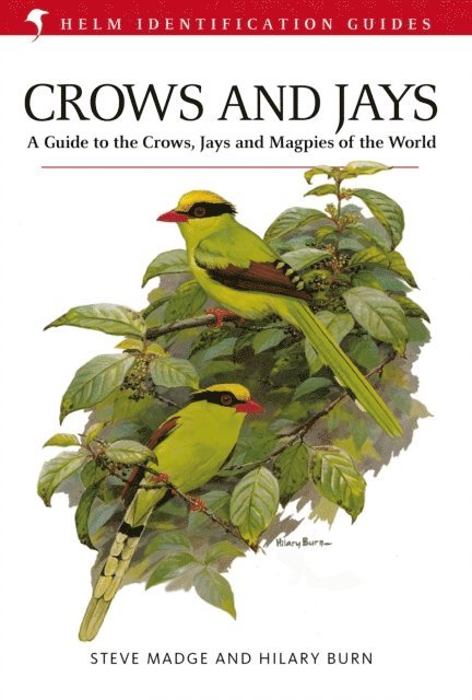 Steve Madge - Crows and Jays, E-bok