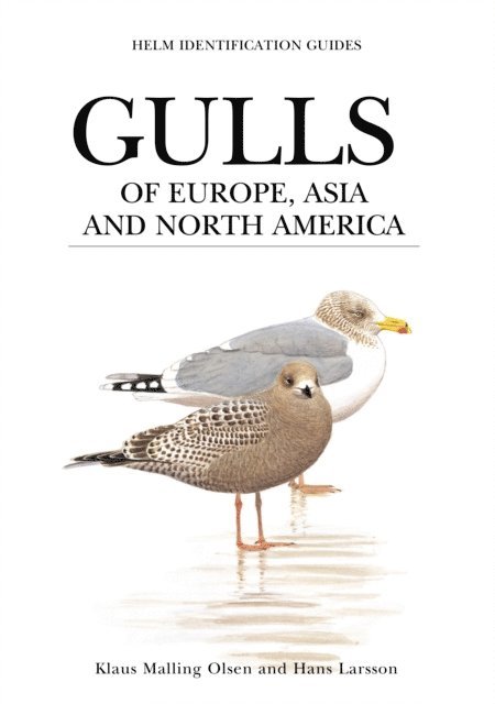 Klaus Malling Olsen - Gulls of Europe, Asia and North America, E-bok