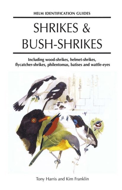 Tony Harris - Shrikes and Bush-shrikes, E-bok