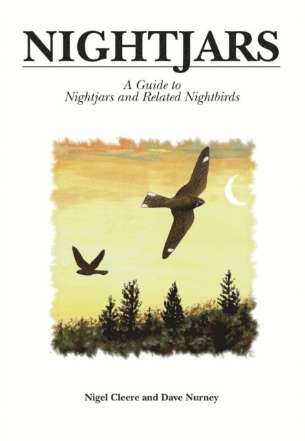 Nigel Cleere - Nightjars, E-bok