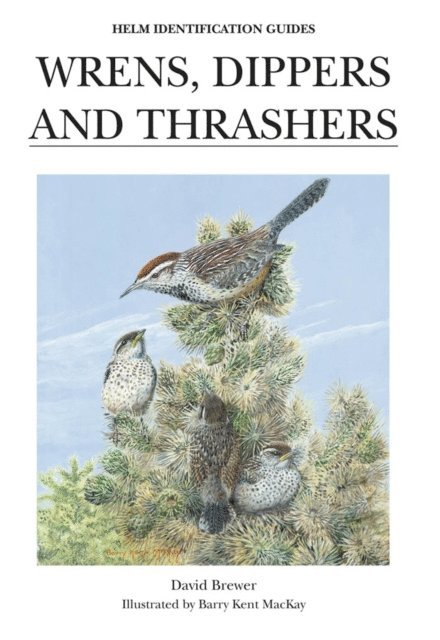 David Brewer - Wrens, Dippers and Thrashers, E-bok