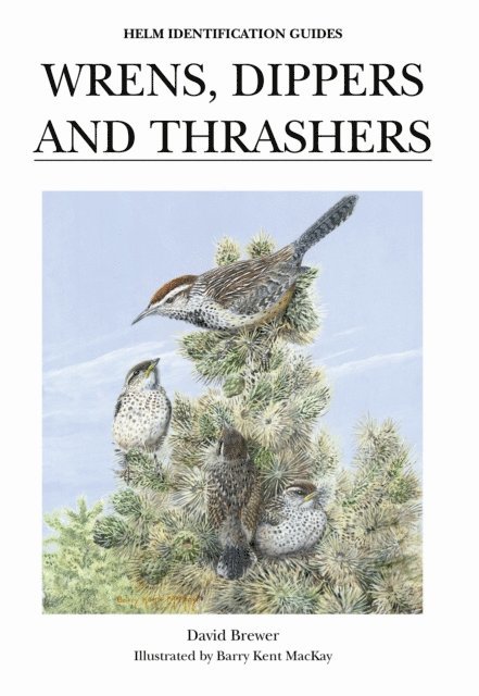 David Brewer - Wrens, Dippers and Thrashers, E-bok