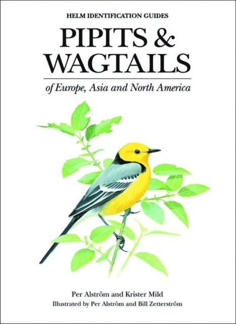 Per Alström, Krister Mild - Pipits and Wagtails of Europe, Asia and North America, E-bok