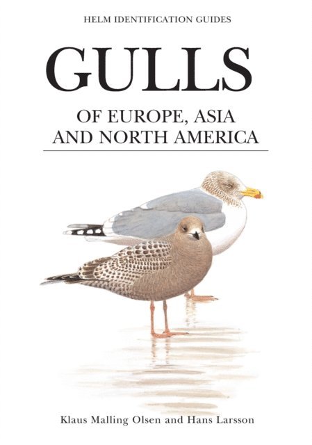 Klaus Malling Olsen - Gulls of Europe, Asia and North America, E-bok