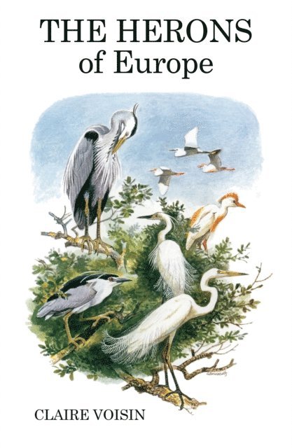 Claire Voisin - Herons of Europe, E-bok