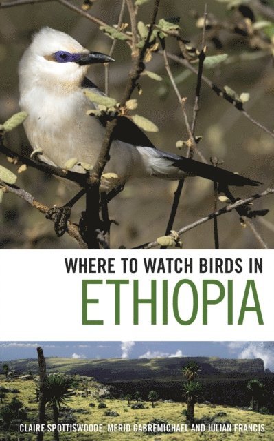 Claire Spottiswoode, Merid Gabremichael, Julian Francis - Where to Watch Birds in Ethiopia, E-bok