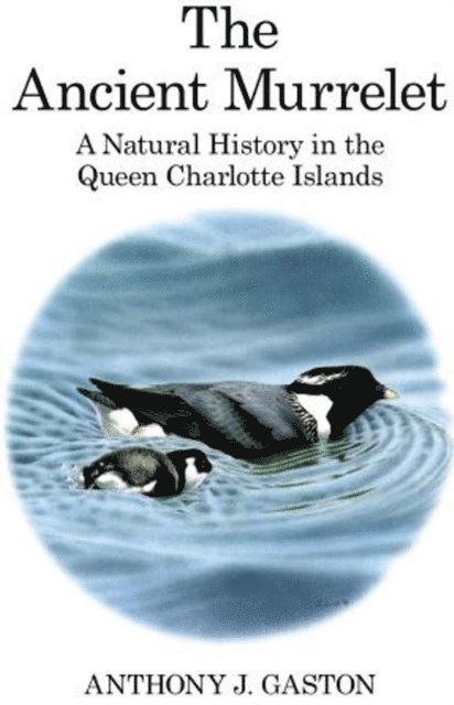 Anthony J. Gaston - Ancient Murrelet, E-bok