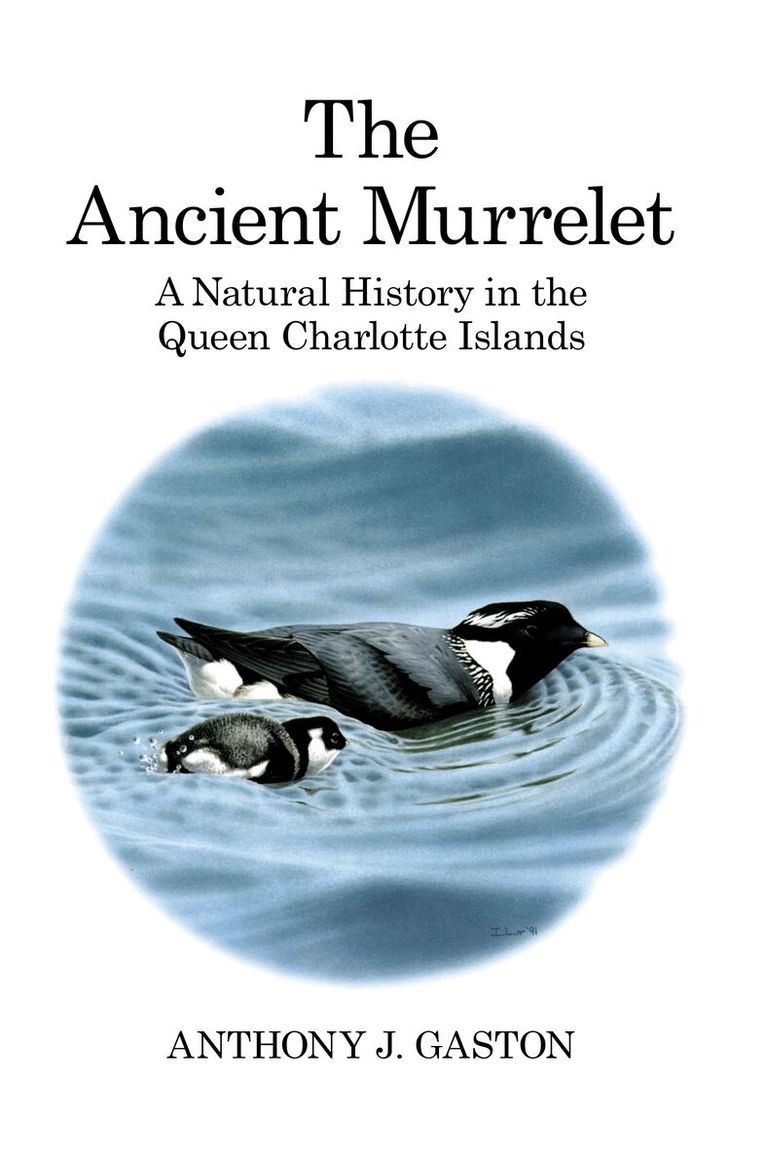 Anthony J. Gaston - Ancient Murrelet, Inbunden