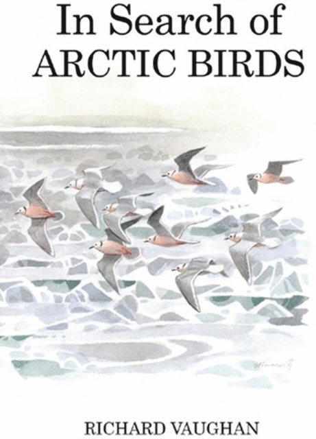 Richard Vaughan - In Search of Arctic Birds, E-bok