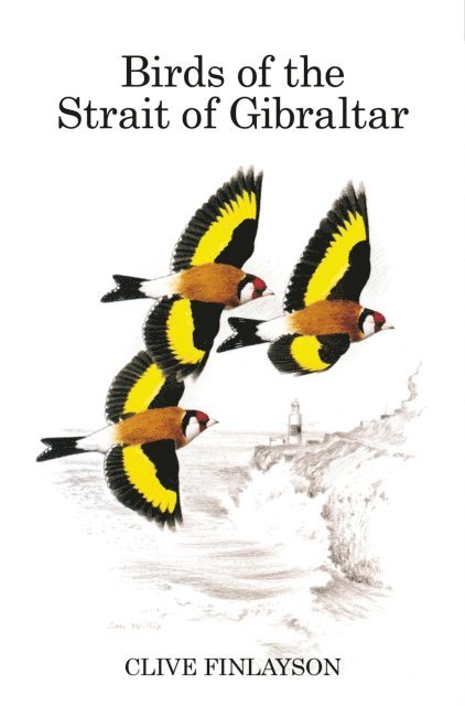 Clive Finlayson - Birds of the Strait of Gibraltar, E-bok