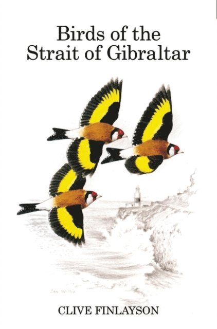 Clive Finlayson - Birds of the Strait of Gibraltar, E-bok