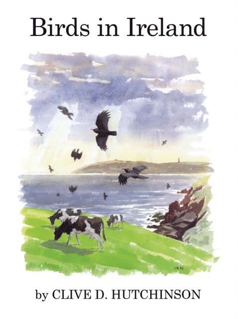 Clive Hutchinson - Birds in Ireland, E-bok