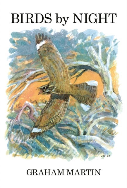 Graham Martin - Birds by Night, E-bok