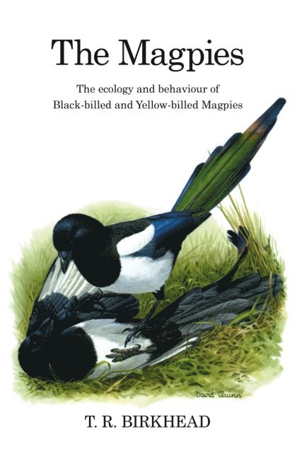 Tim Birkhead - Magpies: The Ecology and Behaviour of Black-Billed and Yellow-Billed Magpies, E-bok