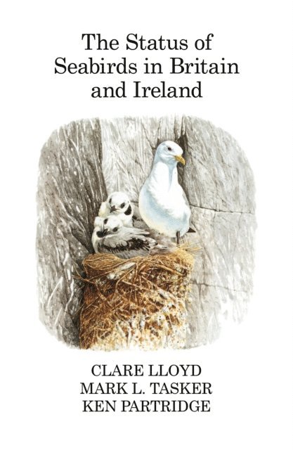 Clare Lloyd, Mark L. Tasker, Ken Partridge - Status of Seabirds in Britain and Ireland, E-bok