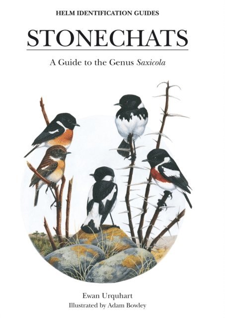 Ewan Urquhart - Stonechats, E-bok