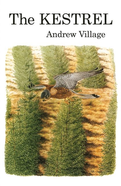 Andrew Village - Kestrel, E-bok