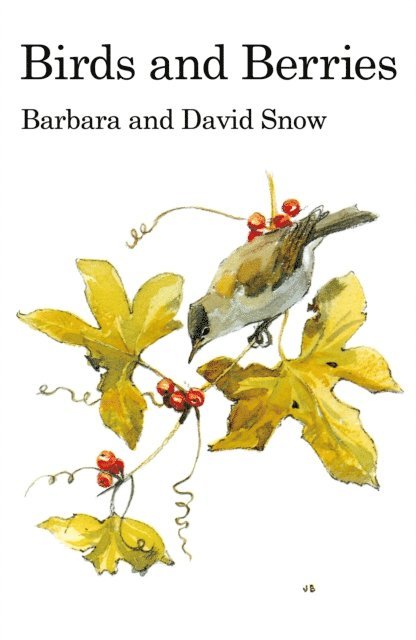 Barbara Snow, David Snow - Birds and Berries, E-bok