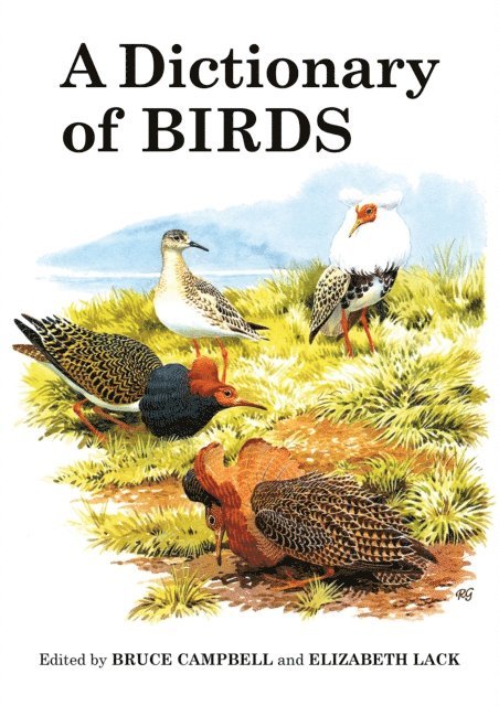 Bruce Campbell, Elizabeth Lack - Dictionary of Birds, E-bok