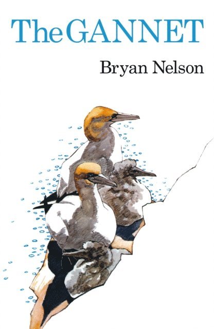 Bryan Nelson - Gannet, E-bok