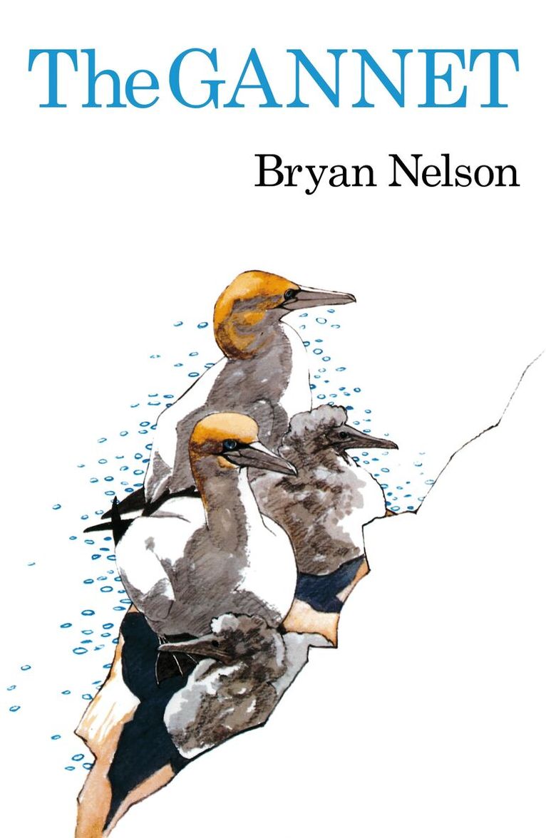 Bryan Nelson - Gannet, Inbunden