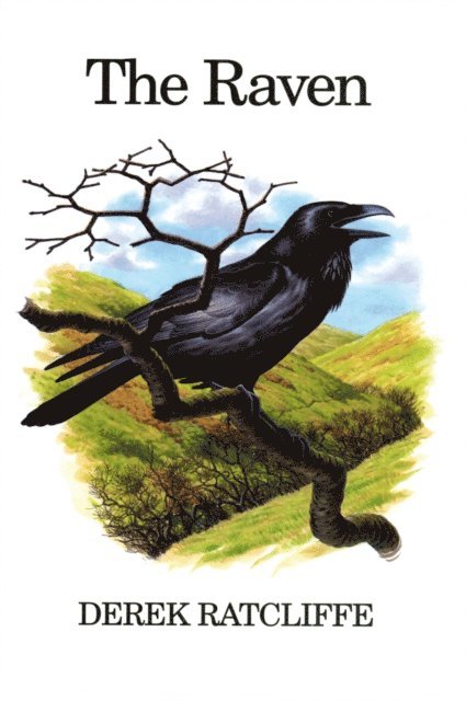 Derek Ratcliffe - Raven, E-bok