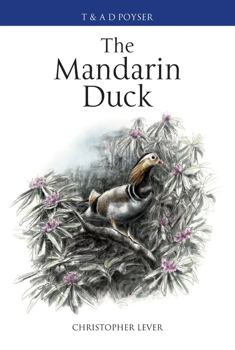 Christopher Lever - Mandarin Duck, Inbunden. Tillgänglighet: Tillfälligt slut