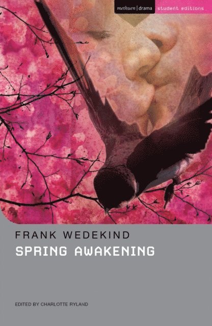 Frank Wedekind, Charlotte Ryland - Spring Awakening, E-bok