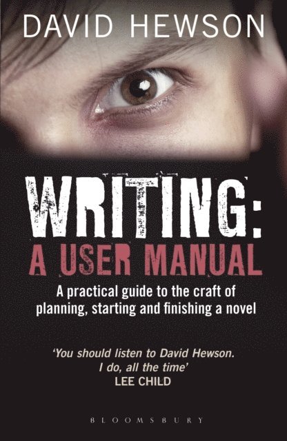 David Hewson - Writing: A User Manual, E-bok