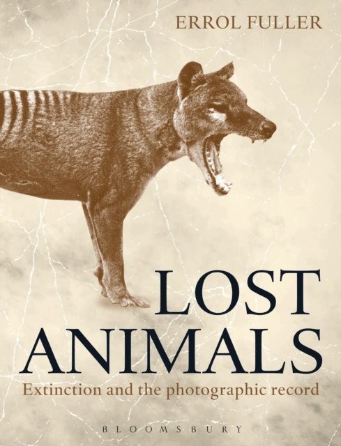 Errol Fuller - Lost Animals, E-bok