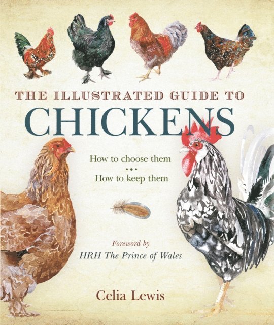 Celia Lewis - Illustrated Guide to Chickens, E-bok