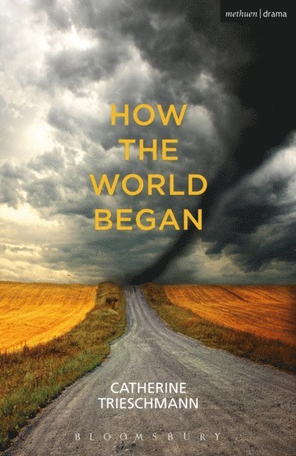 Catherine Trieschmann - How the World Began, E-bok. Tillgänglighet: Lägg i varukorg
