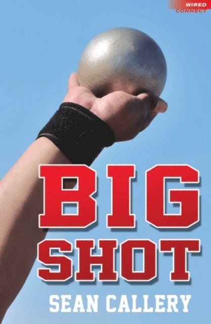 Sean Callery - Big Shot, E-bok