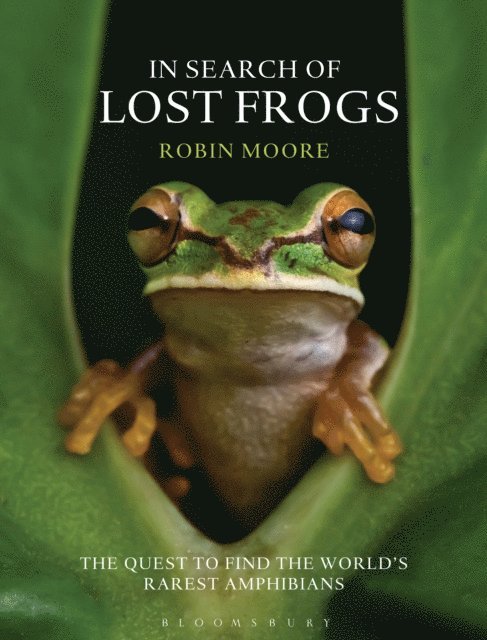 Robin Moore - In Search of Lost Frogs, E-bok