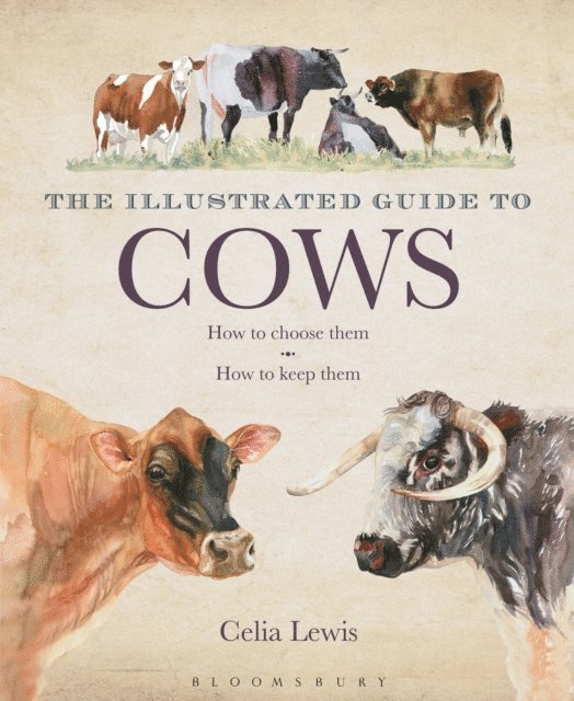 Celia Lewis - Illustrated Guide to Cows, E-bok