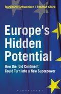Europe?s Hidden Potential