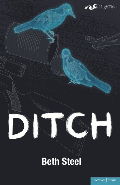 Beth Steel - Ditch, E-bok