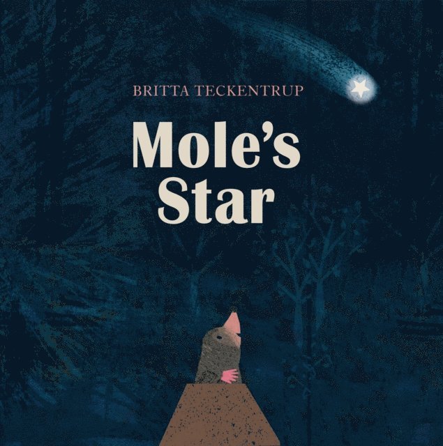 Britta Teckentrup - Mole's Star, E-bok