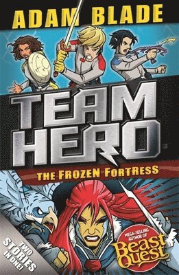 Team Hero: The Frozen Fortress