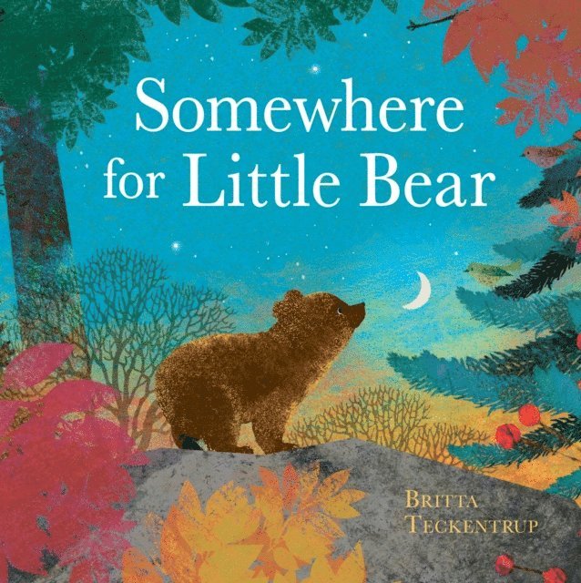Britta Teckentrup - Somewhere for Little Bear, E-bok
