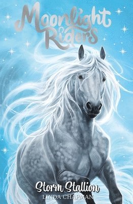 Linda Chapman - Moonlight Riders: Storm Stallion, Häftad