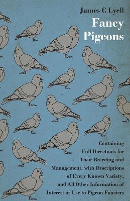 Fancy Pigeons