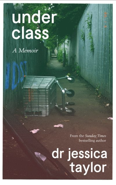 Dr Jessica Taylor - Underclass, E-bok