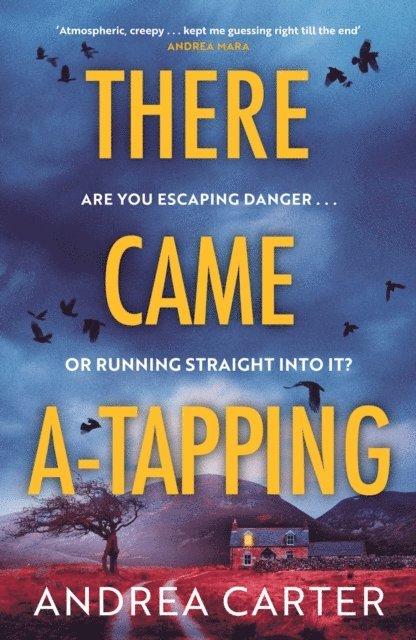 Andrea Carter - There Came A-Tapping, E-bok