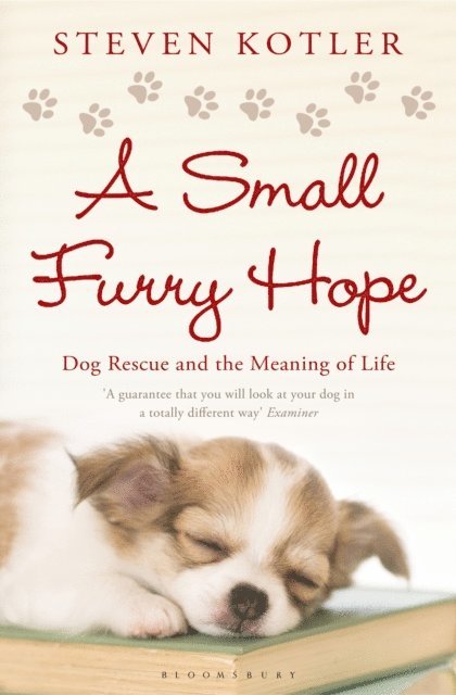 Steven Kotler - Small Furry Hope, E-bok