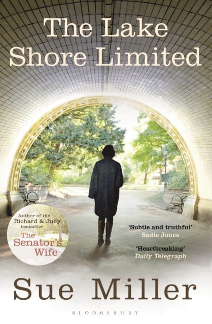 Sue Miller - Lake Shore Limited, E-bok