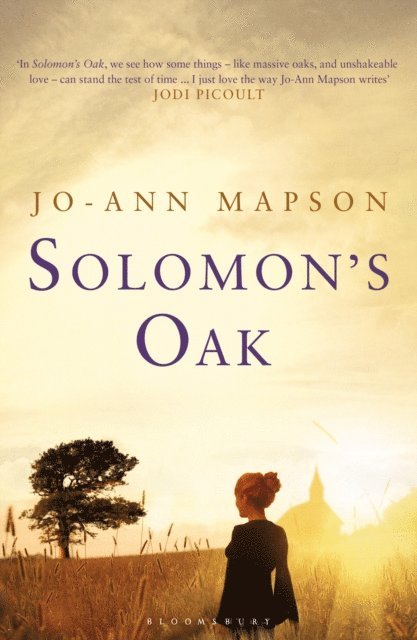 Jo-Ann Mapson - Solomon's Oak, E-bok