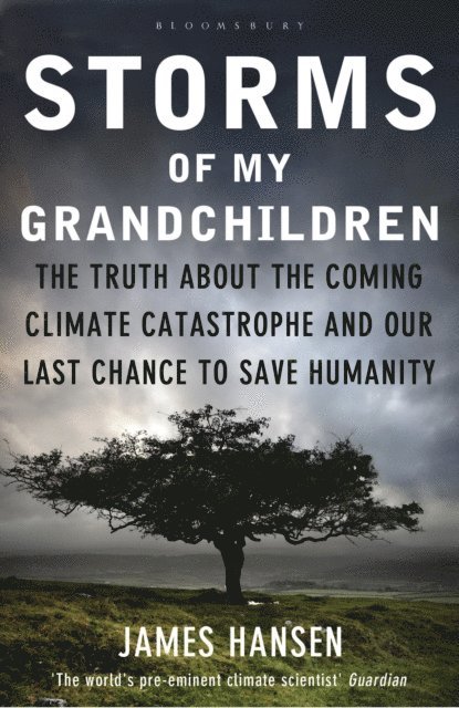 James Hansen - Storms of My Grandchildren, E-bok