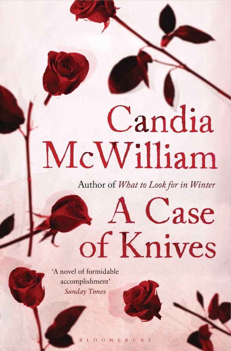 Candia McWilliam - Case of Knives, Häftad